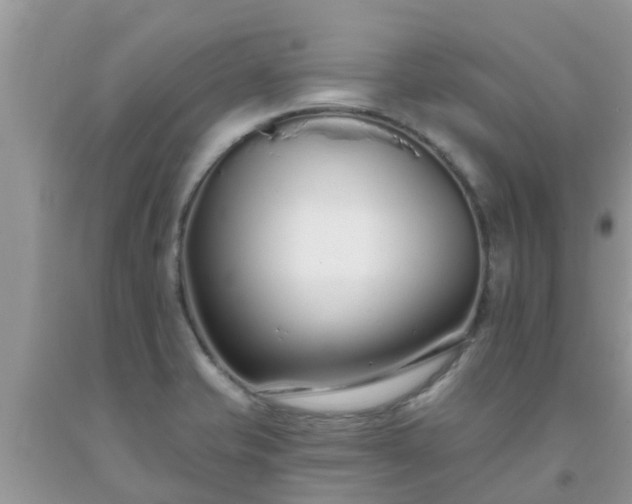 X0000093761421200710231243