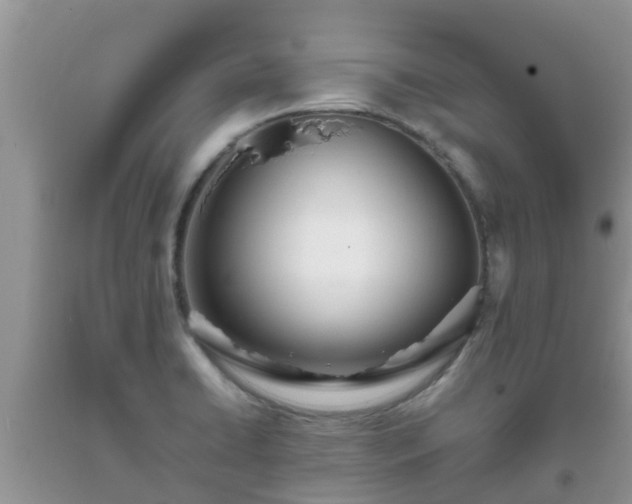 X0000093761422200710231243