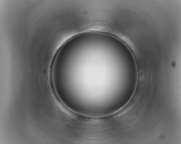 X0000093761423200710231243