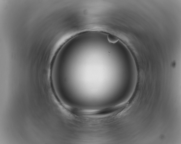 X0000093761424200710231243