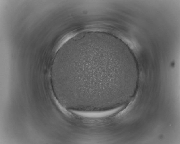 X0000093761425200710231243