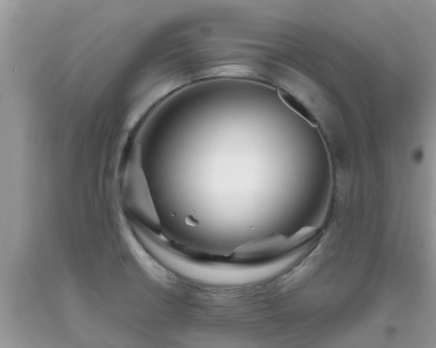 X0000093761426200710231243