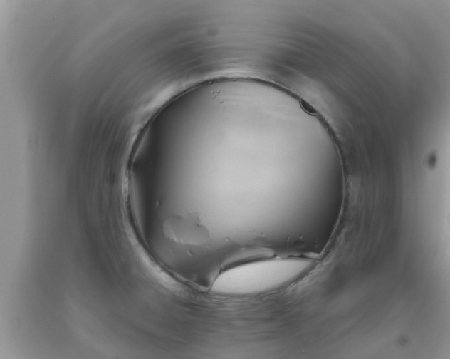 X0000093761428200710231243