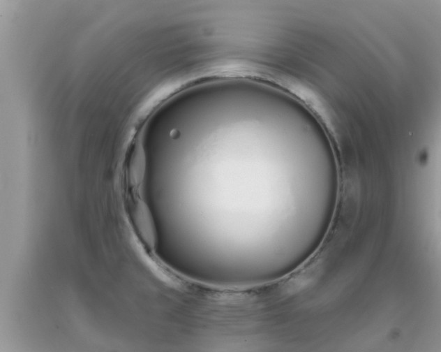 X0000093761429200710231243