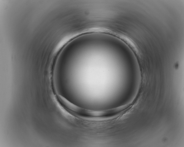 X0000093761430200710231243