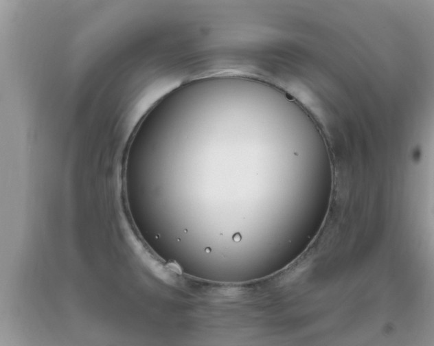 X0000093761431200710231243