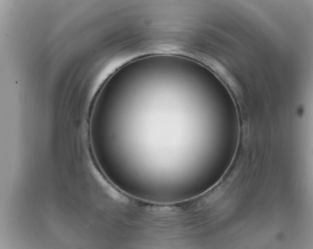 X0000093761432200710231243