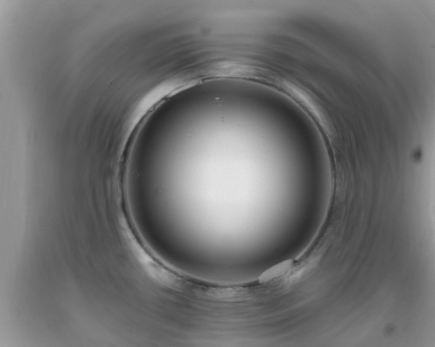 X0000093761434200710231243