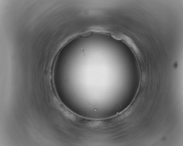 X0000093761435200710231243