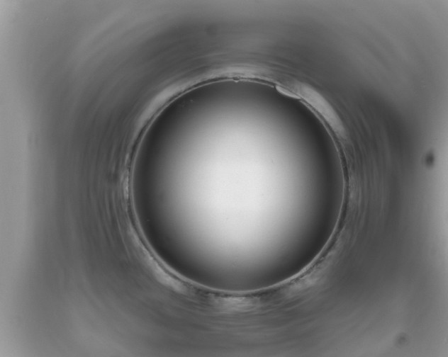 X0000093761436200710231243