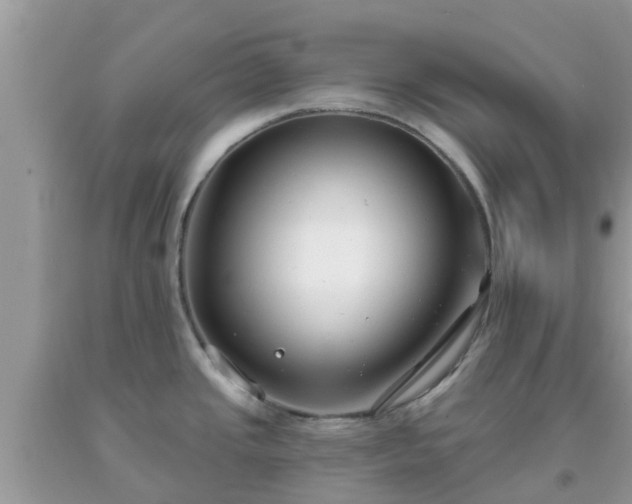 X0000093761437200710231243