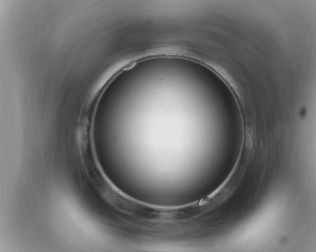 X0000093761438200710231243