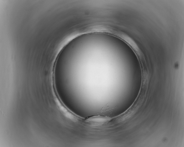 X0000093761439200710231243