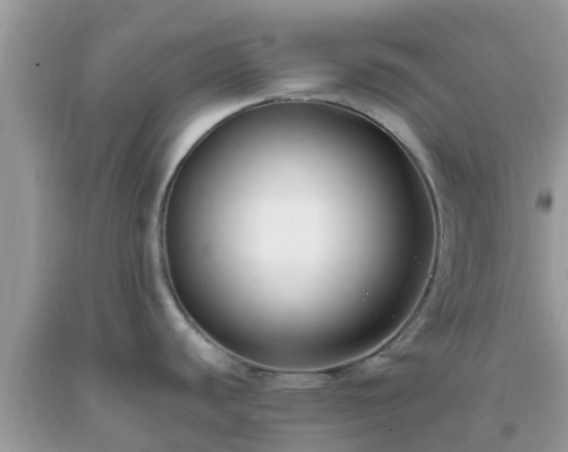 X0000093761440200710231243
