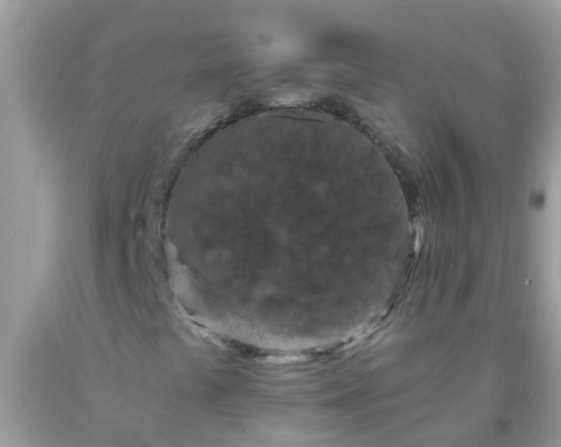 X0000093761441200710231243