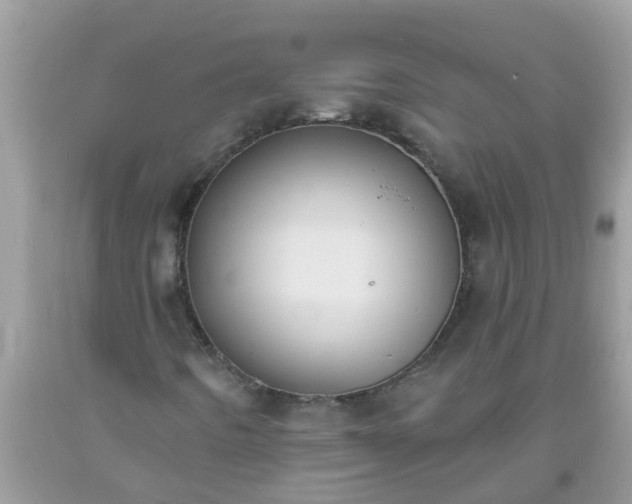 X0000093761442200710231243