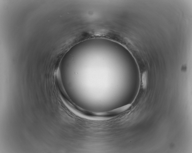 X0000093761443200710231243