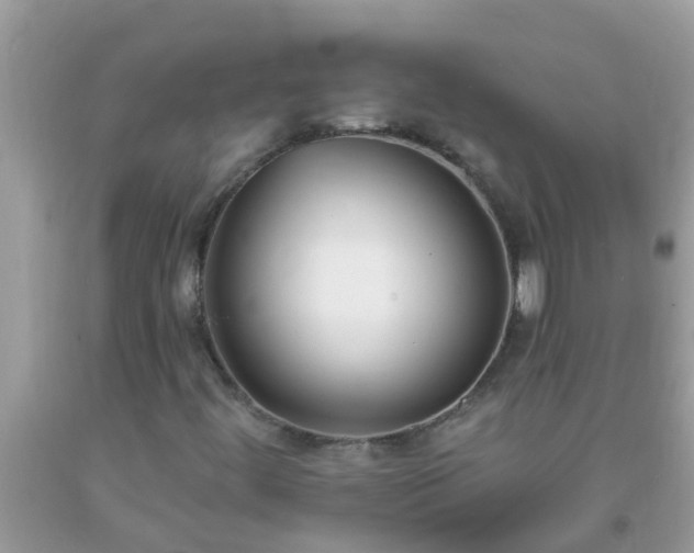 X0000093761444200710231243