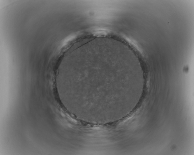 X0000093761445200710231243