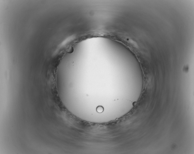 X0000093761446200710231243