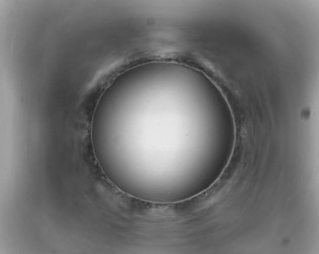 X0000093761447200710231243