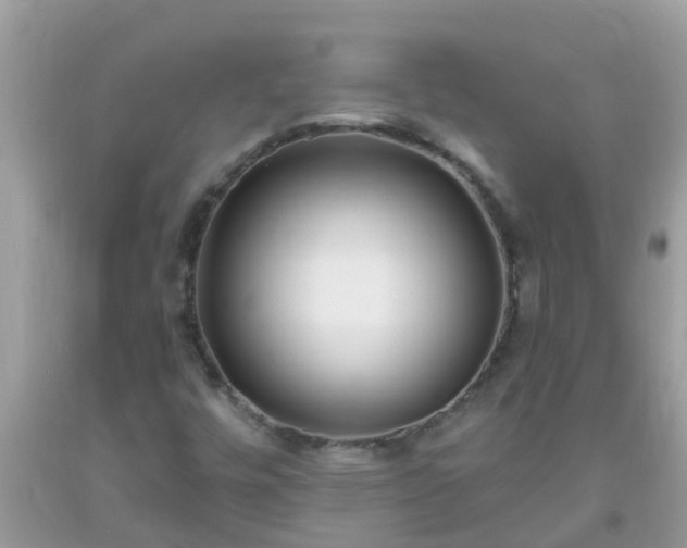 X0000093761448200710231243
