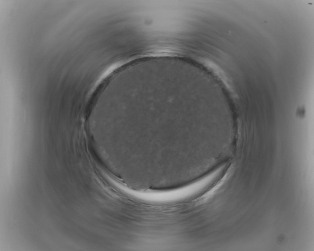 X0000093761449200710231243