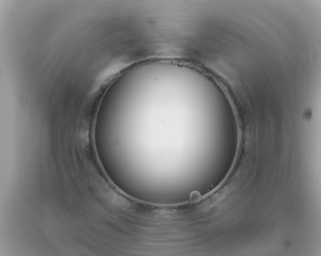 X0000093761451200710231243