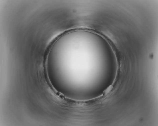 X0000093761452200710231243