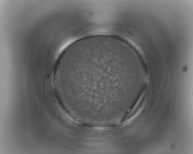 X0000093761453200710231243