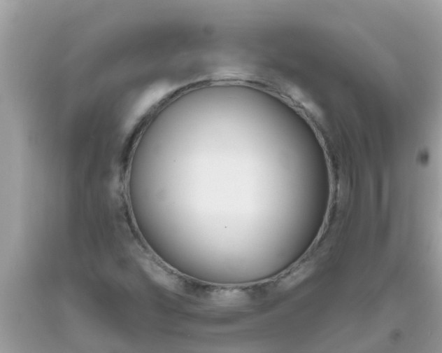X0000093761454200710231243