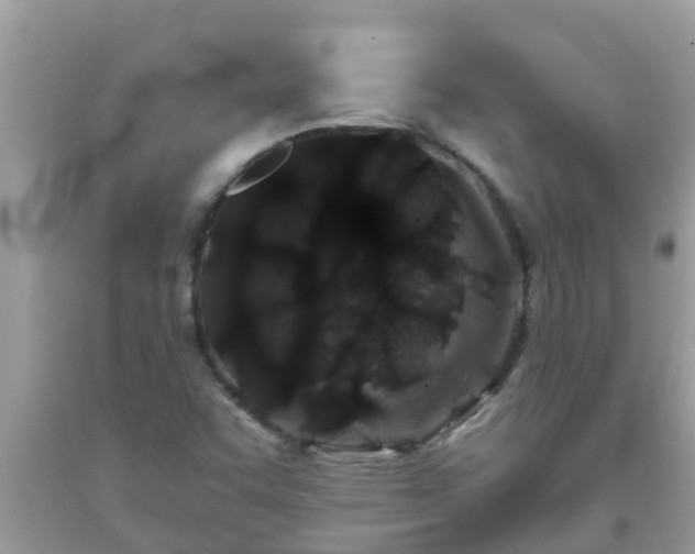 X0000093761455200710231243