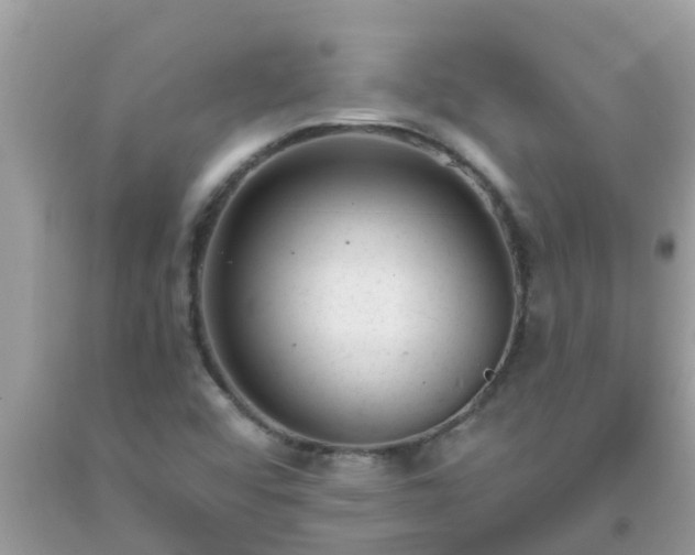 X0000093761456200710231243