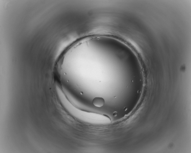 X0000093761461200710231243