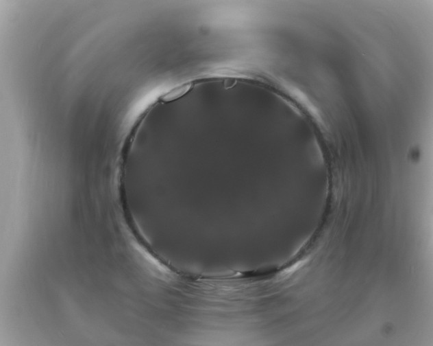X0000093761463200710231243