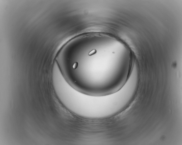 X0000093761465200710231243
