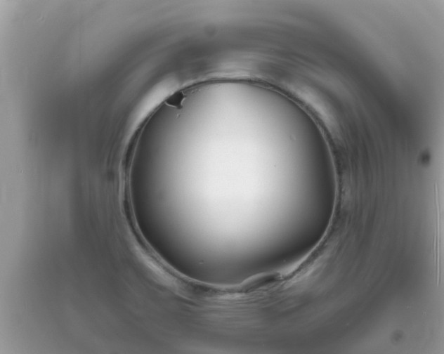 X0000093761467200710231243