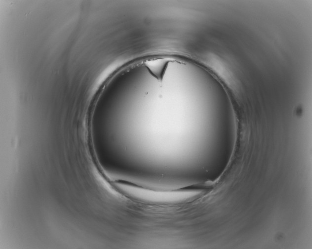 X0000093761468200710231243
