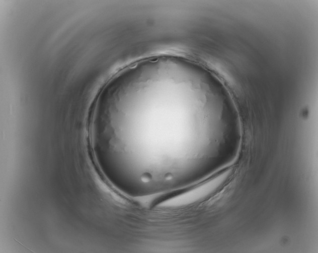 X0000093761471200710231242