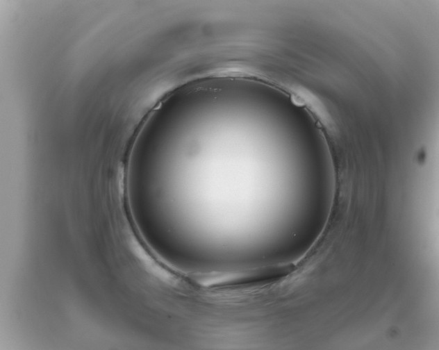 X0000093761476200710231242