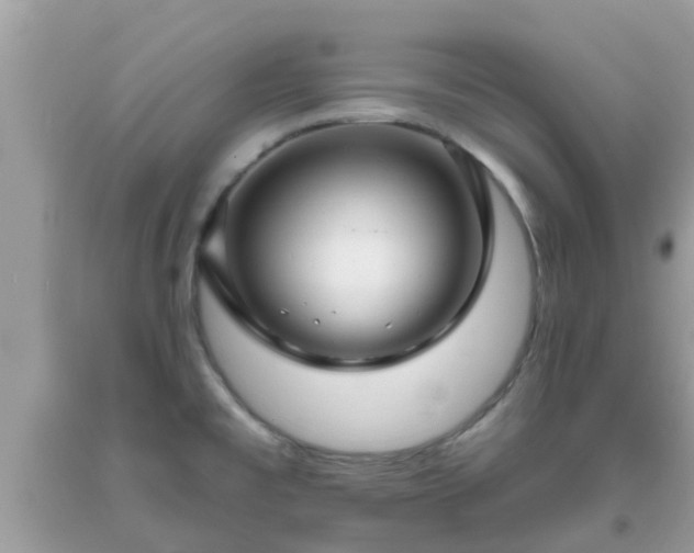 X0000093761477200710231242