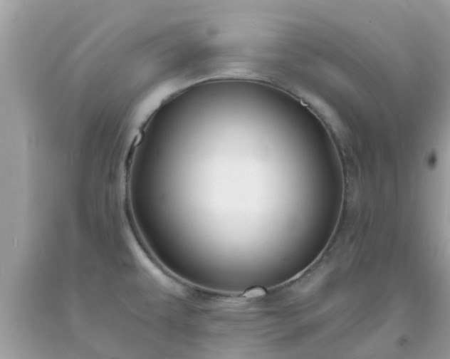 X0000093761479200710231242