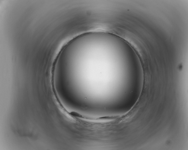 X0000093761480200710231242