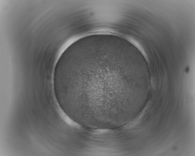 X0000093761482200710231242