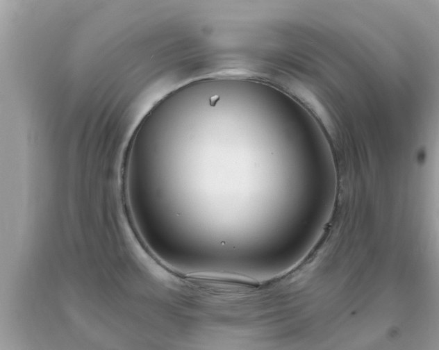 X0000093761483200710231242