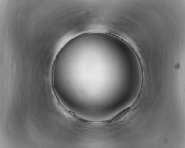 X0000093761488200710231242