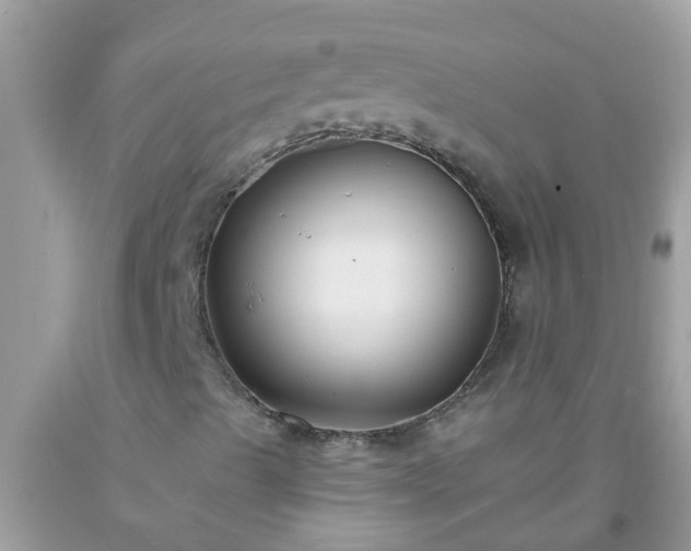 X0000093761489200710231242