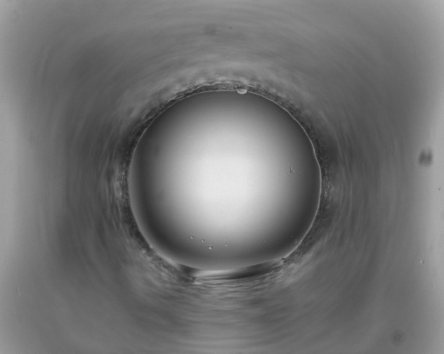 X0000093761490200710231242