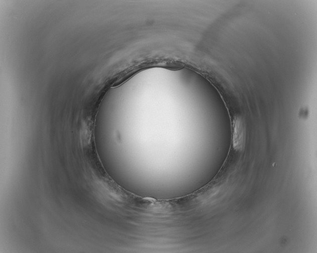 X0000093761491200710231242