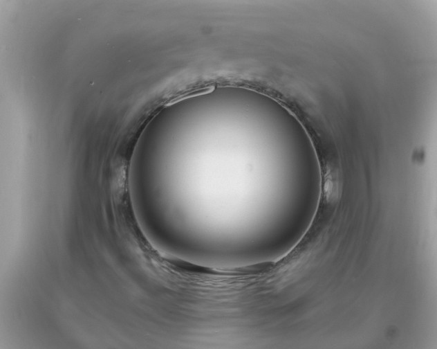 X0000093761492200710231242
